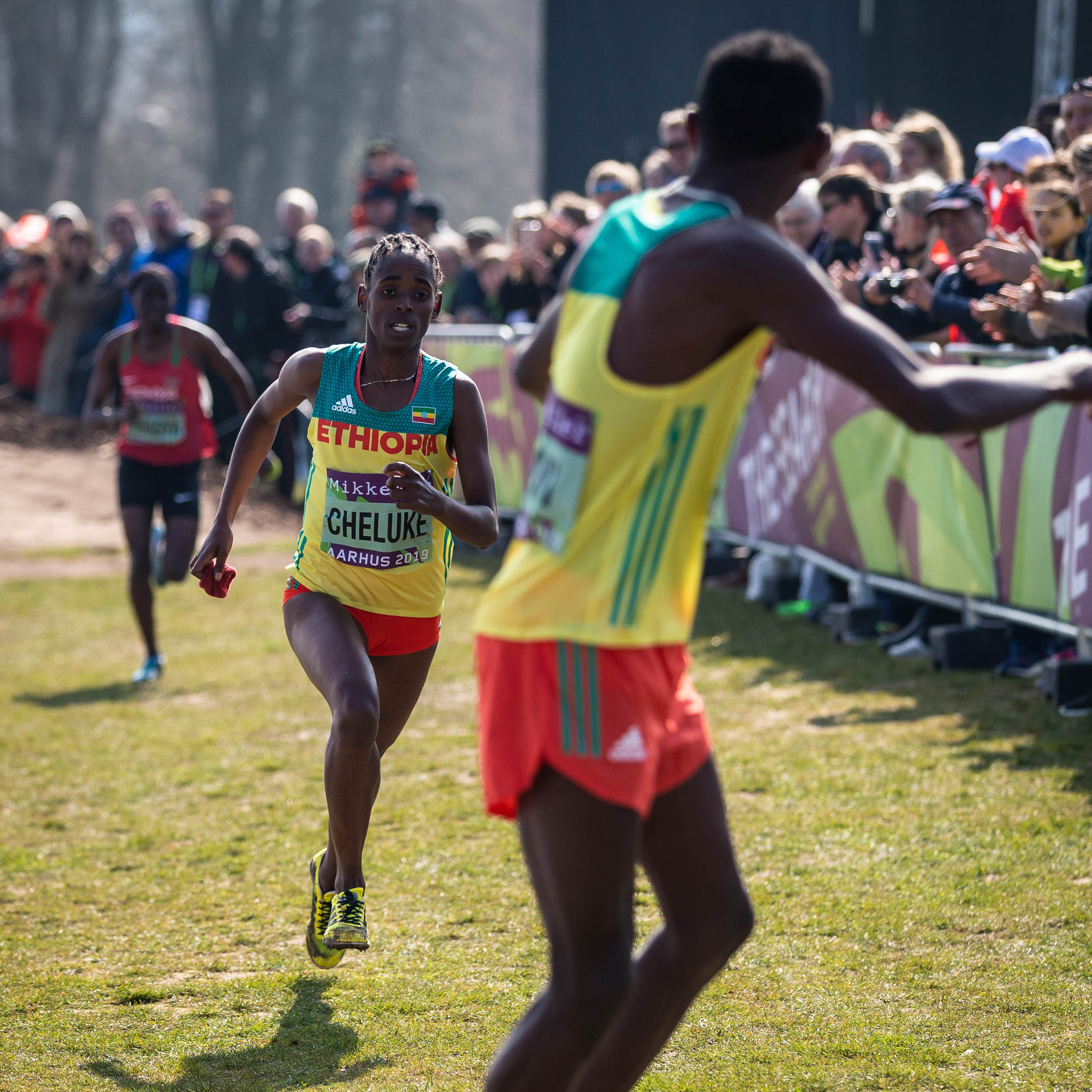 DV-WXC2019-013