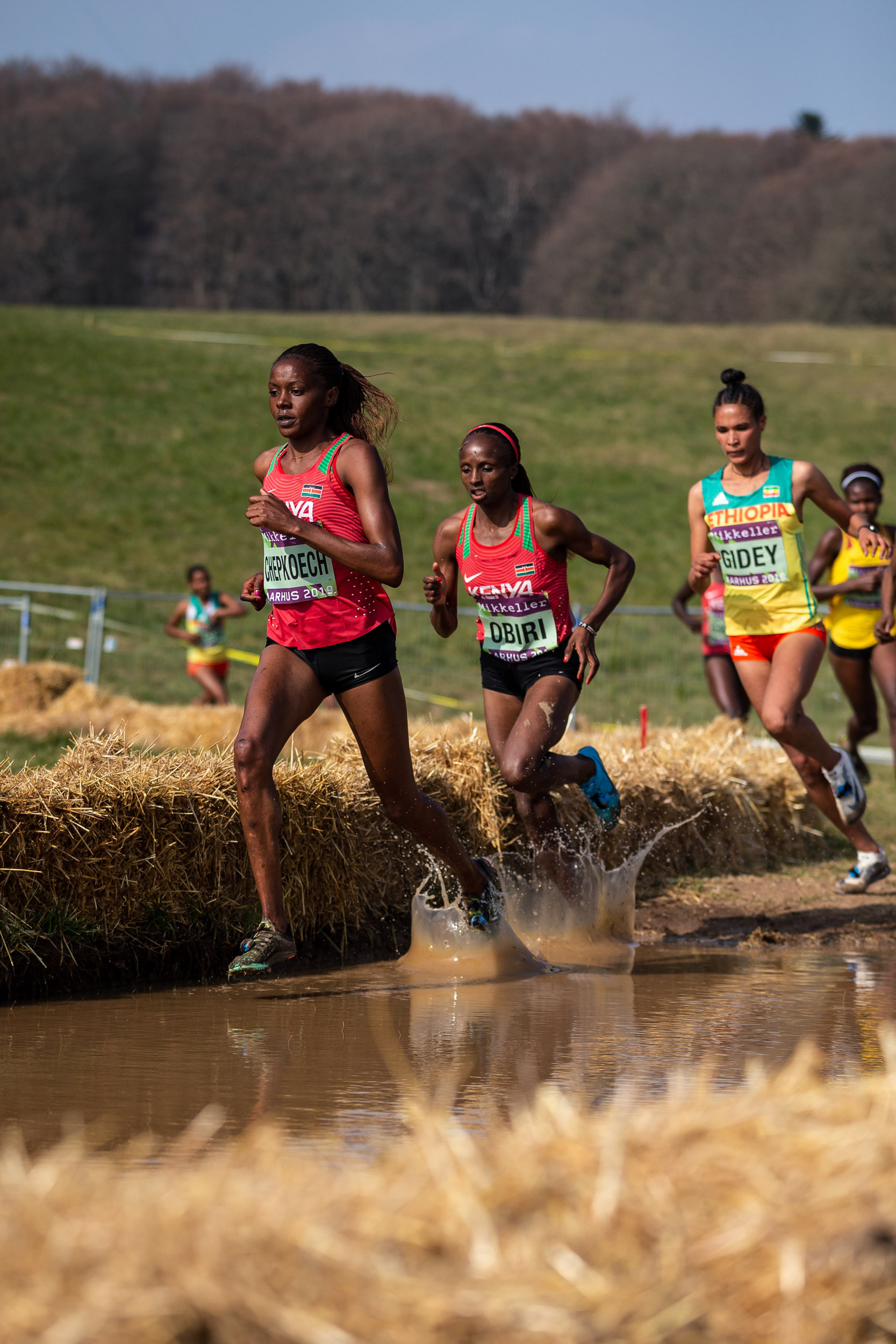 DV-WXC2019-087