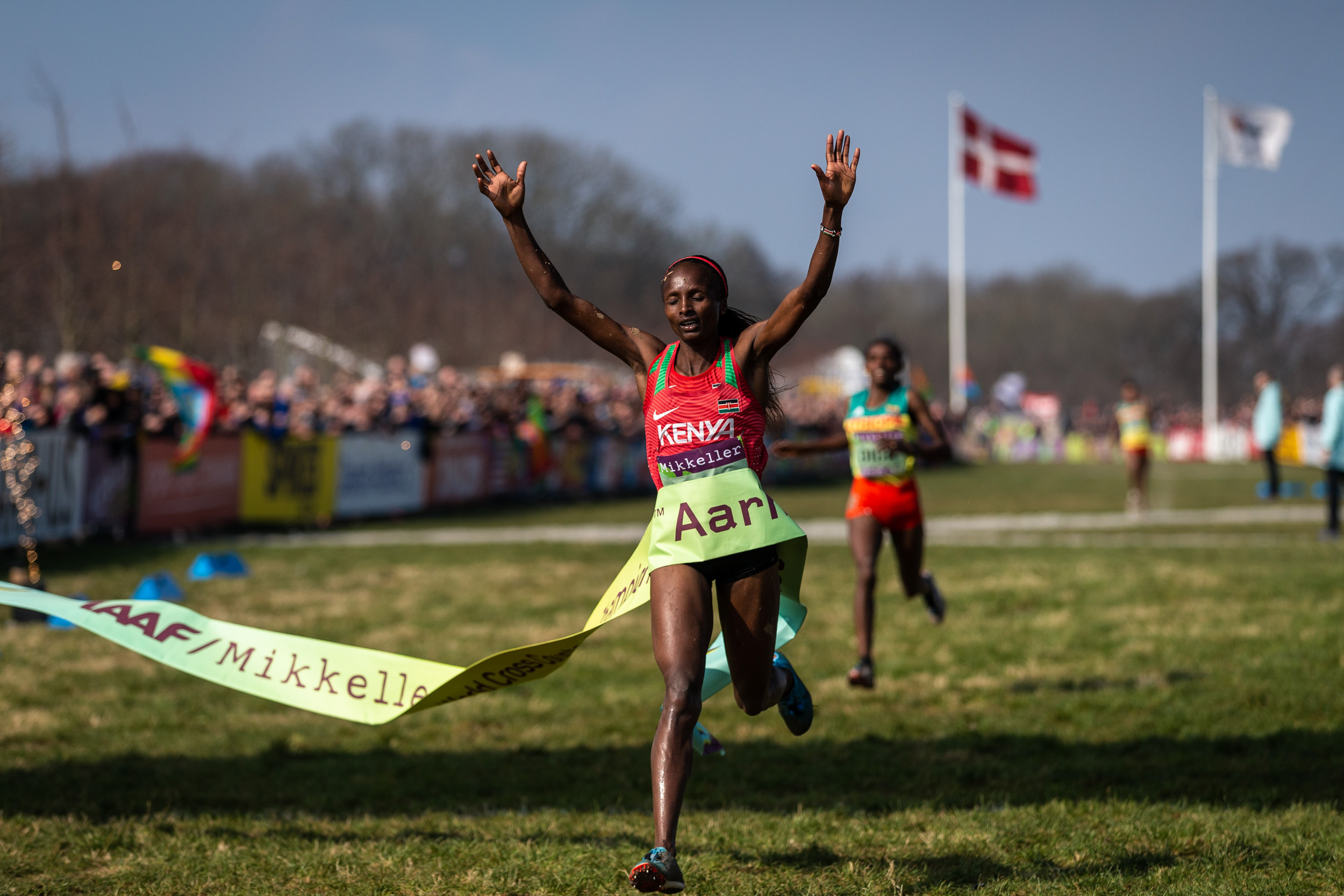 DV-WXC2019-113